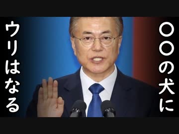 「金正恩が最も恐れる、米国、中国が最も信頼する大統領になる！」文在寅の2年前の言葉に腹筋崩壊！