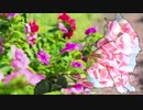 【IA】 Geranewm 【オリジナル曲】