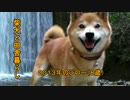 【柴犬ジロー】柴犬と田舎暮らし2【Shiba Inu】