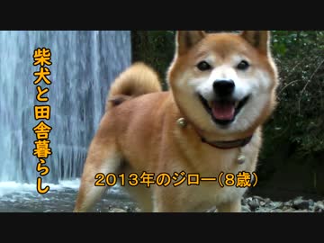 【柴犬ジロー】柴犬と田舎暮らし2【Shiba Inu】