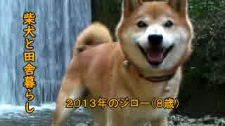 【柴犬ジロー】柴犬と田舎暮らし2【Shiba Inu】