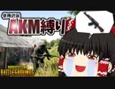 【PUBG】使用武器