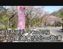 【車載動画】奥琵琶パークウェイの桜　つつら尾崎展望台→菅浦