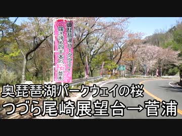 【車載動画】奥琵琶パークウェイの桜　つつら尾崎展望台→菅浦