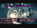 【怪異843】SCP-3900 - 狼的なモノのインターネット