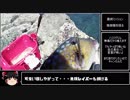 暇つぶしフィッシング part3