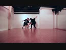 【あわあわはわわ】胸いっぱいのダメを【踊ってみた】