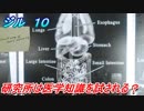 リメイク版バイオハザード　ジル編 １０ 研究所は医学知識が試される？