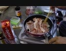 463恋問道の駅　27車中飯生姜焼き