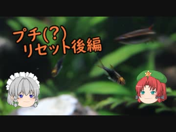 【アクアリウム】２くらいから始める水草水槽 Part.1　/幻想水景記.07
