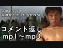 [コメント返信]中世レ〇プ！放浪者と化したＡＫＮＭ