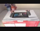 【開封】Nintendo Switch購入!モンハン持ちが可能だよなコレ