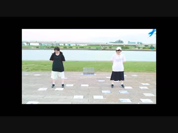 【一人二役】平成最後の日が誕生日だったので聖地でBad Apple!!踊ってきた【しーちゃん】