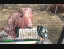 【Fallout4】ﾎﾞｿﾎﾞｿ喋りながら遊んでるﾌｫｰﾙｱｳﾄﾌｫｫｫｫｫｫｫ【016】