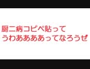 【2ch】厨二病コピペ貼ってうわああああああってなろうぜ