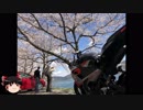【滋賀県】お花見ツーリング【海津大崎】