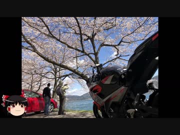 【滋賀県】お花見ツーリング【海津大崎】