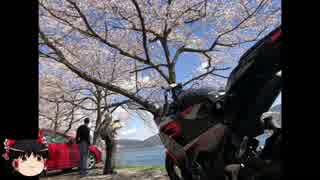 【滋賀県】お花見ツーリング【海津大崎】