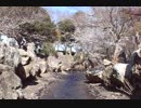 【フィーリング】  川の音