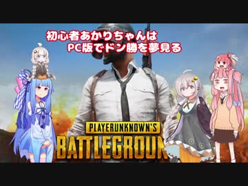 初心者あかりちゃんはPC版でドン勝を夢見る