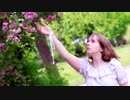 【ゆめ☆】終わりへ向かう始まりの歌 を踊ってみた【春】