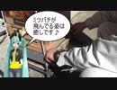 【素人養蜂　Part47】分蜂の季節です