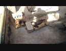 ジャグリングを妨害されるコツメカワウソ
