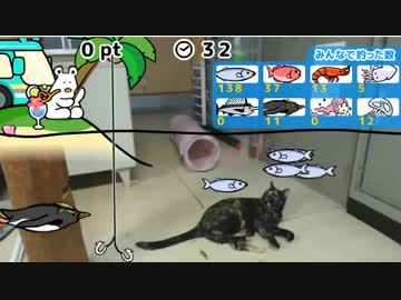 あずきの大回転 2019-04-30