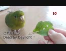 これが私のDead by Daylight　10【ゆっくり実況】
