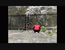 【峠を自転車でゆるクライム】風張林道