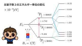 シミュ日記【第６回】スピンを考慮した水素原子に磁場を加えてみよう！