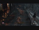 【隻狼(SEKIRO)】狼おじさんの大冒険part24