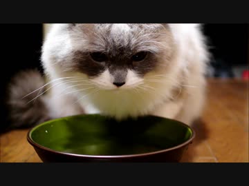 五感で味わう水分補給