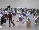 ケロ⑨destinyを踊ってみた【大⑨州東方祭3】