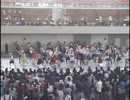 ケロ⑨Destinyを踊ってみた【大⑨州東方祭4】