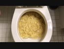プリングルズをトイレに流してみた５