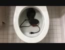 ワッフルメーカーをトイレに流してみた