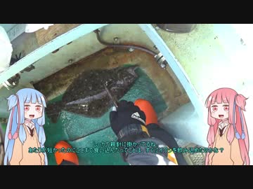 琴葉姉妹と楽しく釣っておいしく食べて　～その１～　【VOICEROIDフィッシング】