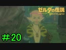 【実況】見落としが多い勇者の冒険part20【ブレスオブザワイルド】