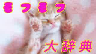 モフモフ大辞典～＃１茶トラ猫特集♪～