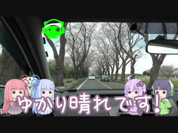 てけとーに ぼちぼちと 5km