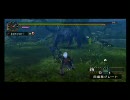 【MHP2G】ぼんやりしてたらナルガが倒れてた【5分針】