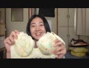 女版浜崎順平