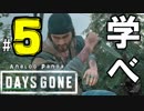 【実況】アナパンのDAYS GONE -part5-【デイズゴーン】
