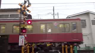 伊豆箱根鉄道大雄山線穴部駅前踏切