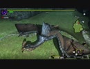 【MHXX】集会所☆４ イャンクック、ゲリョス戦（森丘＜夜＞） 裸ハンマーぼっち縛り上位Part１１ ２／２