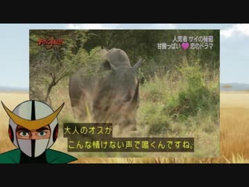 大人のオスがこんな情けない声で鳴くんですね