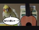 ギターを演奏しないインコ