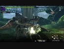 【MHXX】集会所☆４ ゲリョス戦（原生林） 裸ハンマーぼっち縛り上位Part１２