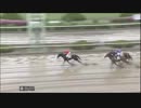 令和最初の日本競馬(2019年5月1日園田競馬1R)